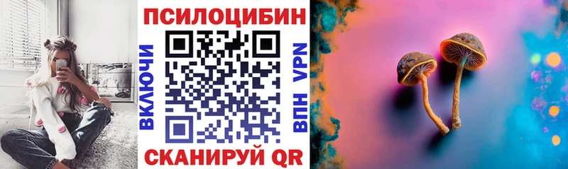 как найти закладки  Славгород  Галлюциногенные грибы MAGIC MUSHROOMS 